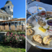 As Melhores Ostras do Mundo: Uma Experiência Gastronômica Imperdível no The Aquidneck Club