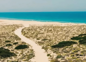 Domingo de descanso, conexão e paisagens que abraçam