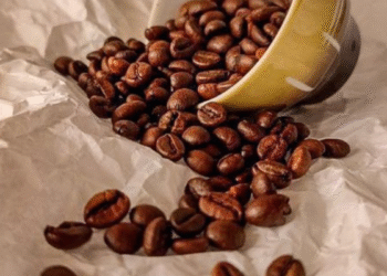 Perfumes com notas de café: intensidade e sofisticação em um frasco